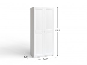 2.06.01.050.4 МАКС шкаф 2 двери 100х61х233 серый RU в Советском - sovetskiy.ok-mebel.com | фото 4