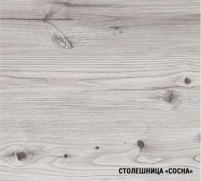 АСАЯ Кухонный гарнитур Экстра 2 (3000 мм) ПМ в Советском - sovetskiy.ok-mebel.com | фото 8