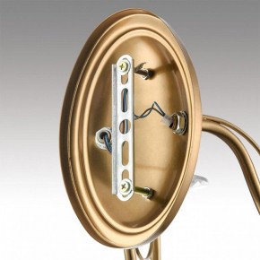 Бра Lumion INCANTO 8033/2W в Советском - sovetskiy.ok-mebel.com | фото 8