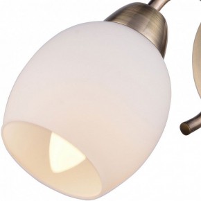 Бра TopLight Merry TL3780B-01AB в Советском - sovetskiy.ok-mebel.com | фото 2