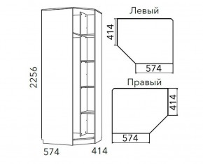 Детская Фанк Шкаф угловой Левый/Правый НМ 013.04-02 М в Советском - sovetskiy.ok-mebel.com | фото 3