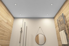 DK2036-WH Встраиваемый светильник влагозащ., IP 44, до 15 Вт, GU10, LED, белый, алюминий в Советском - sovetskiy.ok-mebel.com | фото 5