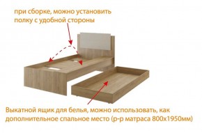 Дуглас (подростковая) М14 Кровать в Советском - sovetskiy.ok-mebel.com | фото 5