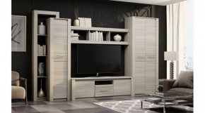 ЭЛИС Гостиная в Советском - sovetskiy.ok-mebel.com | фото 2