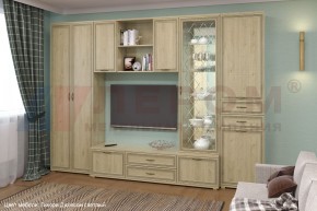 Гостиная Карина Композиция 21 (Гикори Джексон светлый) в Советском - sovetskiy.ok-mebel.com | фото 6