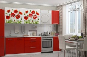 МАКИ КРАСНЫЕ Кухонный гарнитур 2.0 в Советском - sovetskiy.ok-mebel.com | фото