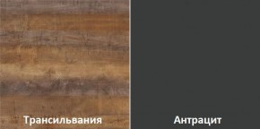 Кухонный гарнитур угловой Трансильвания 2600х1600 мм (Стол. 38 мм) в Советском - sovetskiy.ok-mebel.com | фото 3