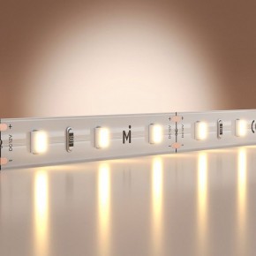 Лента светодиодная Maytoni Base 201162 в Советском - sovetskiy.ok-mebel.com | фото