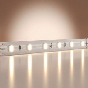Лента светодиодная Maytoni Base 201166 в Советском - sovetskiy.ok-mebel.com | фото