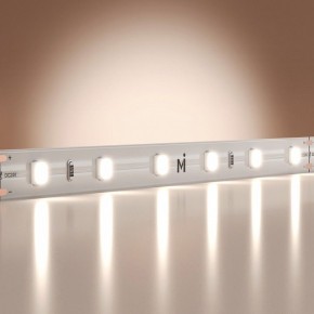 Лента светодиодная Maytoni Base 201167 в Советском - sovetskiy.ok-mebel.com | фото