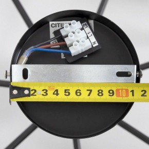 Люстра на штанге Citilux Стивен CL141271 в Советском - sovetskiy.ok-mebel.com | фото 13
