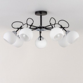 Люстра на штанге Citilux Стивен CL141271 в Советском - sovetskiy.ok-mebel.com | фото 9