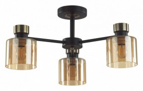 Люстра на штанге Lumion ARLIN 5643/3C в Советском - sovetskiy.ok-mebel.com | фото
