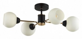 Люстра на штанге Lumion KODI 5646/4C в Советском - sovetskiy.ok-mebel.com | фото