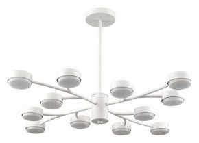 Люстра на штанге Lumion TORINA 8265/12 в Советском - sovetskiy.ok-mebel.com | фото