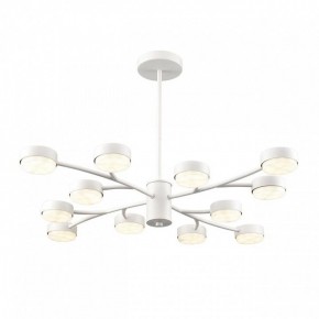 Люстра на штанге Lumion TORINA 8265/12 в Советском - sovetskiy.ok-mebel.com | фото 2