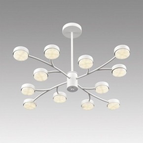 Люстра на штанге Lumion TORINA 8265/12 в Советском - sovetskiy.ok-mebel.com | фото 5