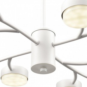Люстра на штанге Lumion TORINA 8265/12 в Советском - sovetskiy.ok-mebel.com | фото 8