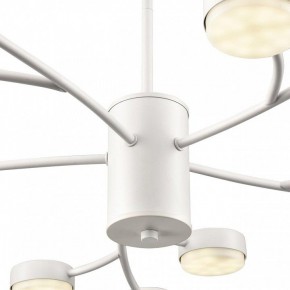 Люстра на штанге Lumion TORINA 8265/15 в Советском - sovetskiy.ok-mebel.com | фото 8