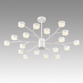 Люстра на штанге Lumion TORINA 8265/18 в Советском - sovetskiy.ok-mebel.com | фото 5
