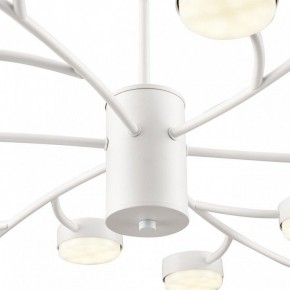 Люстра на штанге Lumion TORINA 8265/18 в Советском - sovetskiy.ok-mebel.com | фото 8