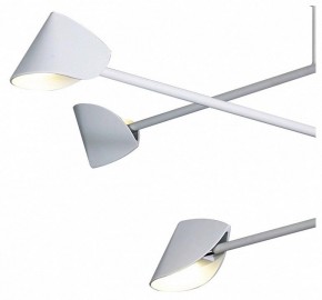 Люстра на штанге Mantra Capuccina 7570 в Советском - sovetskiy.ok-mebel.com | фото 4