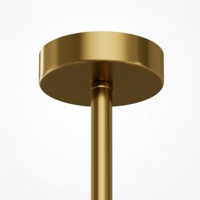 Люстра на штанге Maytoni Museo MOD436PL-07BS в Советском - sovetskiy.ok-mebel.com | фото 5