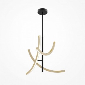 Люстра на штанге Maytoni Wabi MOD428PL-L27BK в Советском - sovetskiy.ok-mebel.com | фото 5