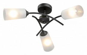 Люстра на штанге Vitaluce V2850 V2850-1/3PL в Советском - sovetskiy.ok-mebel.com | фото 2