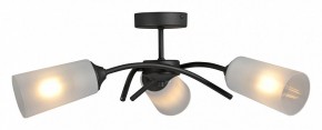 Люстра на штанге Vitaluce V2850 V2850-1/3PL в Советском - sovetskiy.ok-mebel.com | фото 3