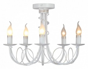 Люстра на штанге Vitaluce V3035 V3035-0/5PL в Советском - sovetskiy.ok-mebel.com | фото 2