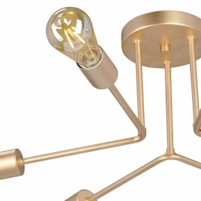 Люстра на штанге Vitaluce V3071 V3071-8/6PL в Советском - sovetskiy.ok-mebel.com | фото 6