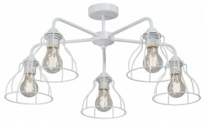 Люстра на штанге Vitaluce V3102 V3102-0/5PL в Советском - sovetskiy.ok-mebel.com | фото