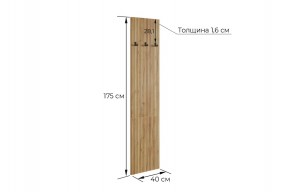 МЕБЕЛЬСОН К7 Прихожая в Советском - sovetskiy.ok-mebel.com | фото 4