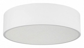 Накладной светильник Arlight TOR PILL 022103(3) в Советском - sovetskiy.ok-mebel.com | фото