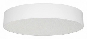 Накладной светильник Arlight TOR PILL 022131(3) в Советском - sovetskiy.ok-mebel.com | фото