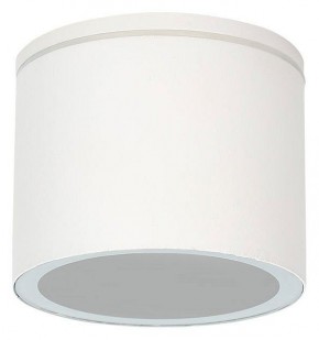 Накладной светильник Arte Lamp Piautos A1913PF-1WH в Советском - sovetskiy.ok-mebel.com | фото