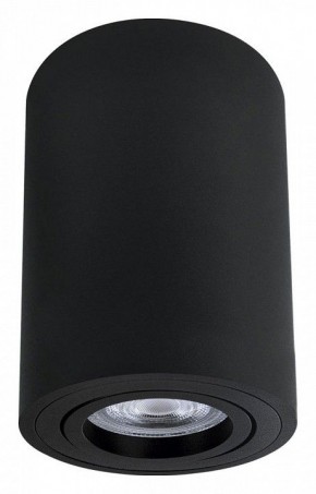Накладной светильник Arte Lamp Sentry A1566PL-1BK в Советском - sovetskiy.ok-mebel.com | фото