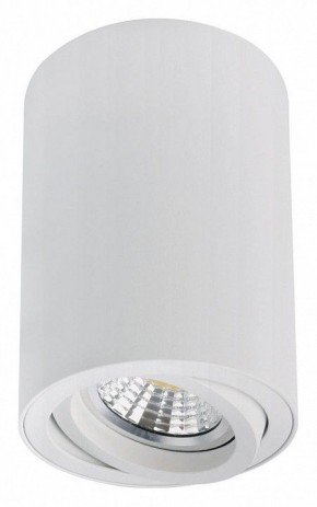 Накладной светильник Arte Lamp Sentry A1566PL-1WH в Советском - sovetskiy.ok-mebel.com | фото