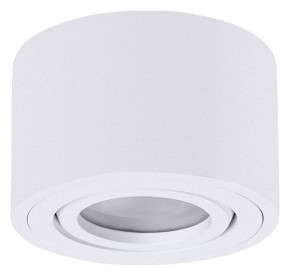 Накладной светильник Arte Lamp Unito A0550PL-1WH в Советском - sovetskiy.ok-mebel.com | фото