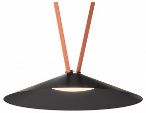 Накладной светильник Denkirs Belty Flow DK5569-BK в Советском - sovetskiy.ok-mebel.com | фото 2
