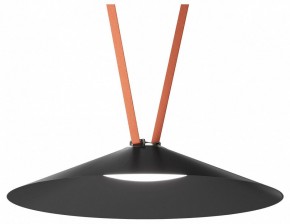 Накладной светильник Denkirs Belty Flow DK5668-BK в Советском - sovetskiy.ok-mebel.com | фото