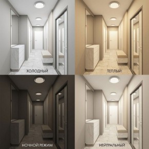 Накладной светильник Denkirs Cany DK6516-WH в Советском - sovetskiy.ok-mebel.com | фото 2