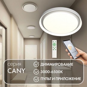 Накладной светильник Denkirs Cany DK6516-WH в Советском - sovetskiy.ok-mebel.com | фото 4