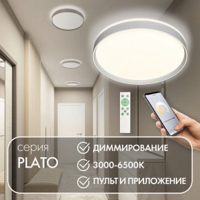 Накладной светильник Denkirs PLATO DK6511-WH/1 в Советском - sovetskiy.ok-mebel.com | фото 4