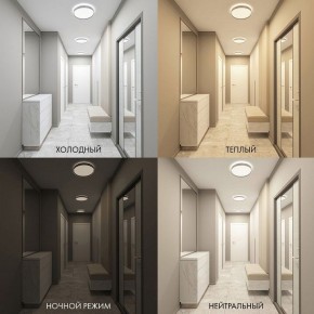 Накладной светильник Denkirs PLATO DK6511-WH/1 в Советском - sovetskiy.ok-mebel.com | фото 5