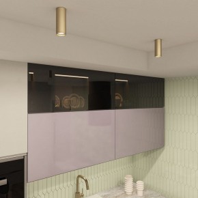 Накладной светильник Denkirs TUBE DK2051-SG в Советском - sovetskiy.ok-mebel.com | фото 4