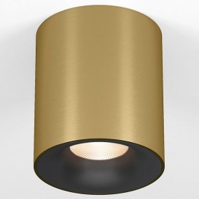 Накладной светильник Elektrostandard Primo 25116/LED в Советском - sovetskiy.ok-mebel.com | фото