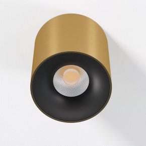 Накладной светильник Elektrostandard Primo 25116/LED в Советском - sovetskiy.ok-mebel.com | фото 2
