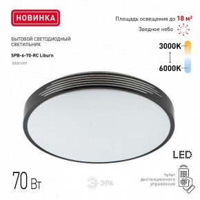 Накладной светильник Эра Классик SPB-6-70-RC Liburn в Советском - sovetskiy.ok-mebel.com | фото 10